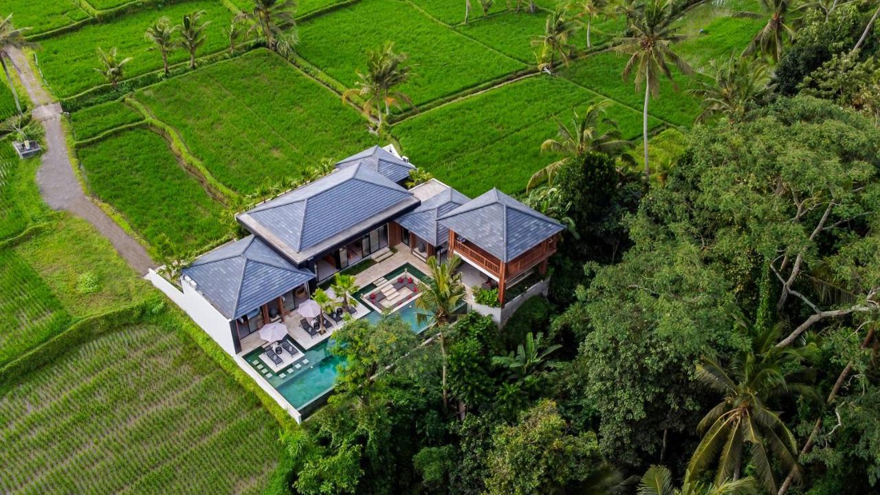 Zen * Ubud