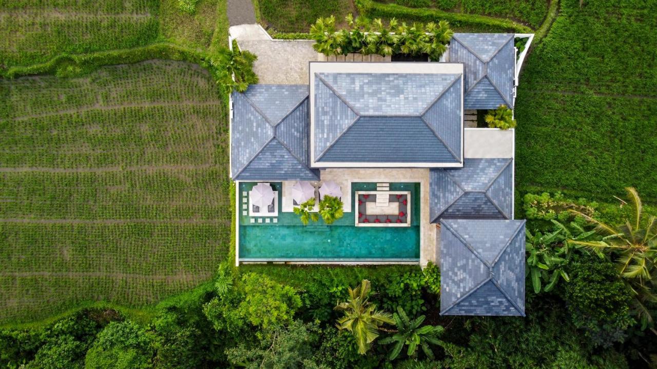 Zen * Ubud